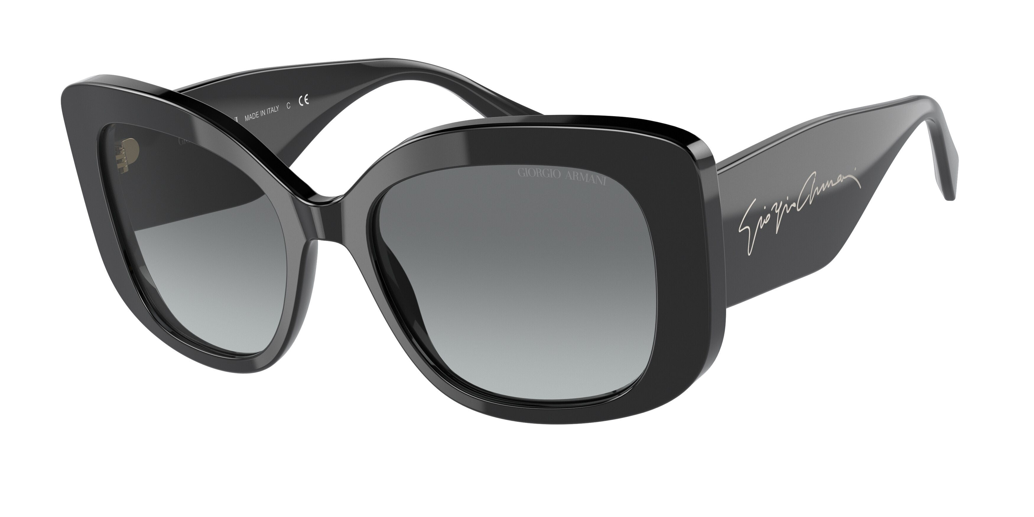 Giorgio Armani AR8150 Square Sunglasses 500111-Black 53-140-18 - Color Map Black