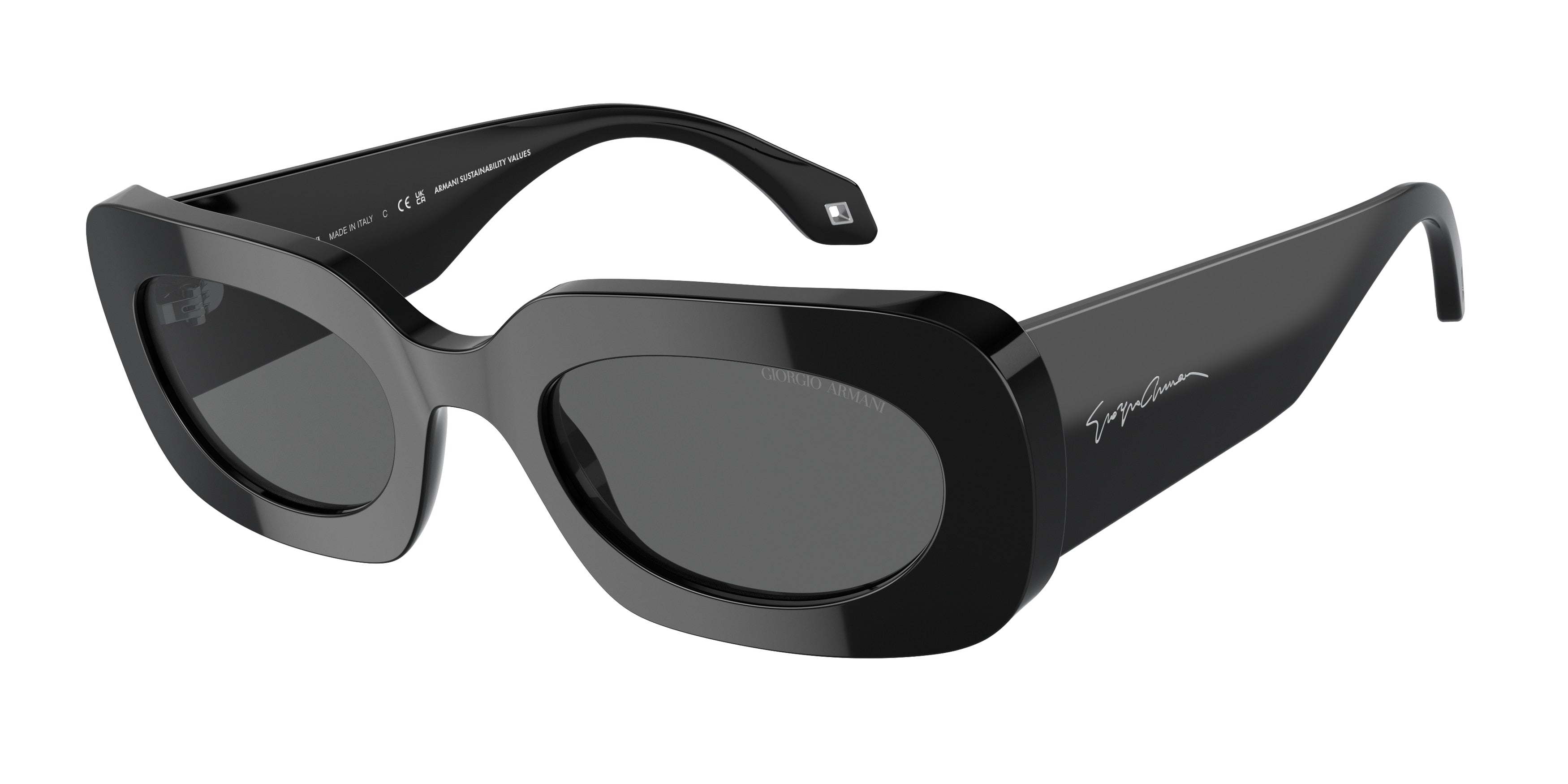 Giorgio Armani AR8182 Rectangle Sunglasses 5875B1-Black 52-140-23 - Color Map Black