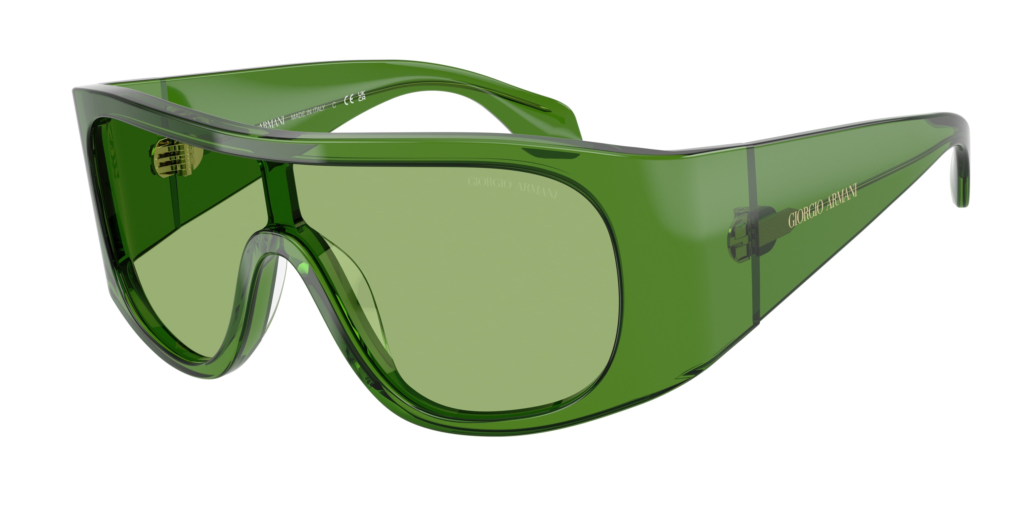 Giorgio Armani AR8222U Rectangle Sunglasses 6191/2-Transparent Green 0-125-124 - Color Map Green