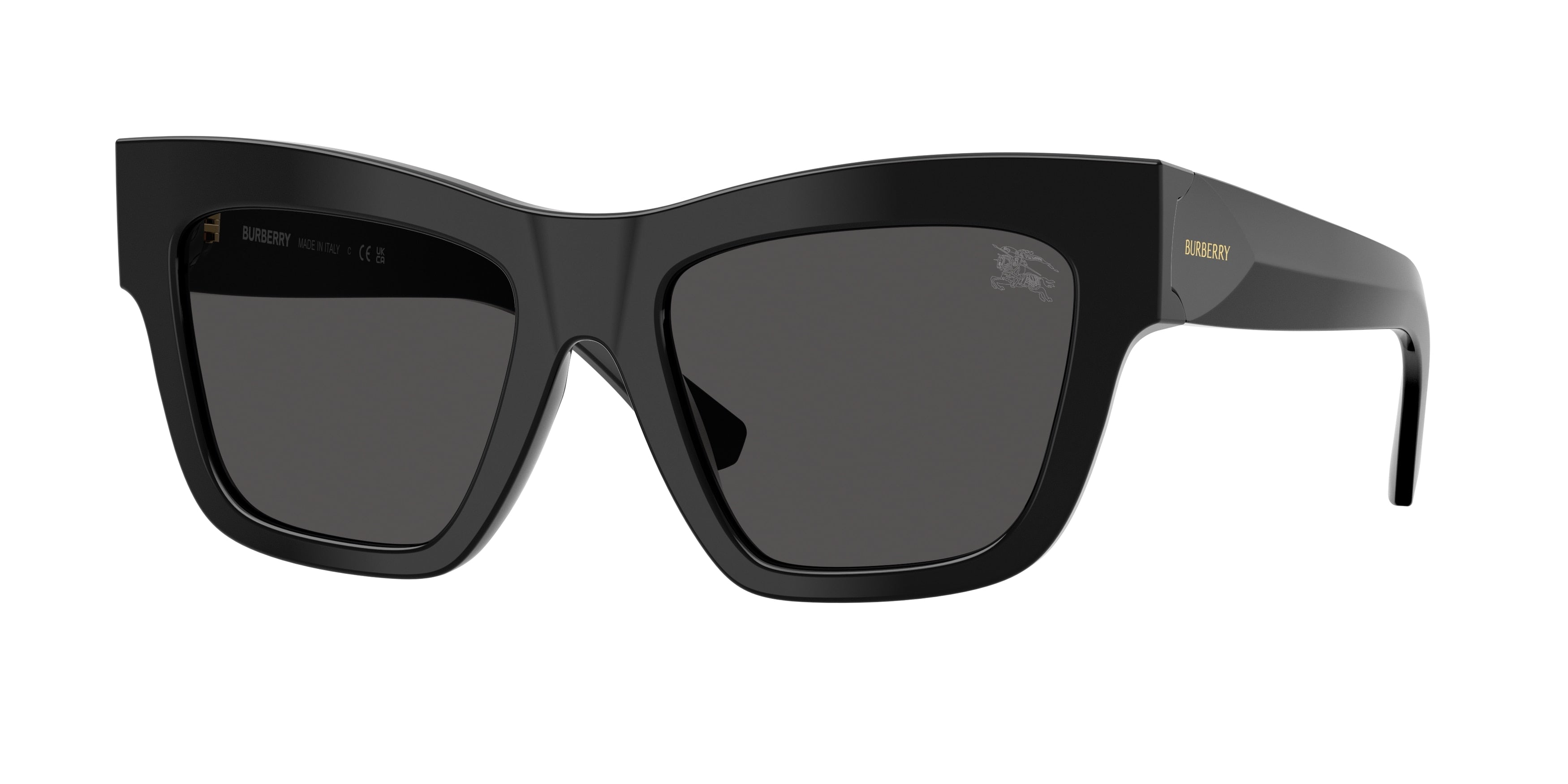 Burberry BE4449F Square Sunglasses 300187-Black 53-140-19 - Color Map Black