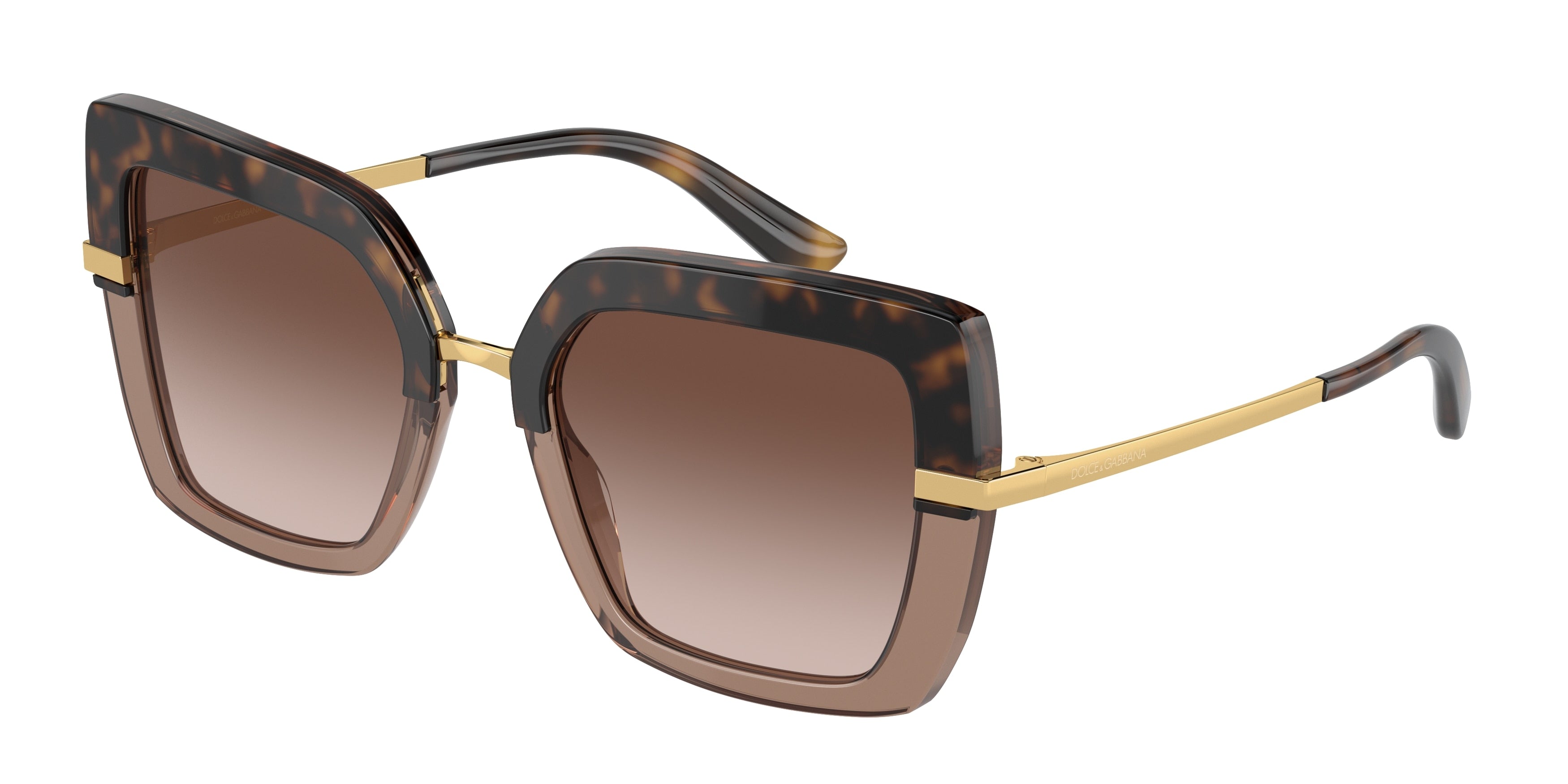 DOLCE & GABBANA DG4373 Square Sunglasses 325613-Havana On Transparent Brown 52-140-21 - Color Map Gold