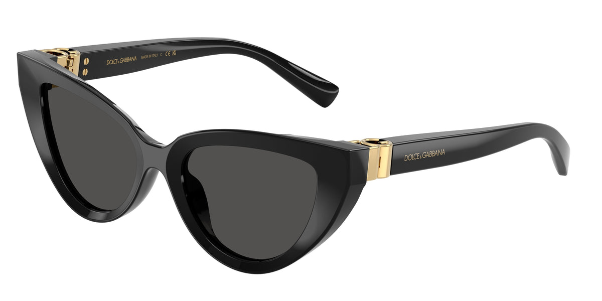 DOLCE & GABBANA DG4497 Cat Eye Sunglasses 501/87-Black 52-140-18 - Color Map Black