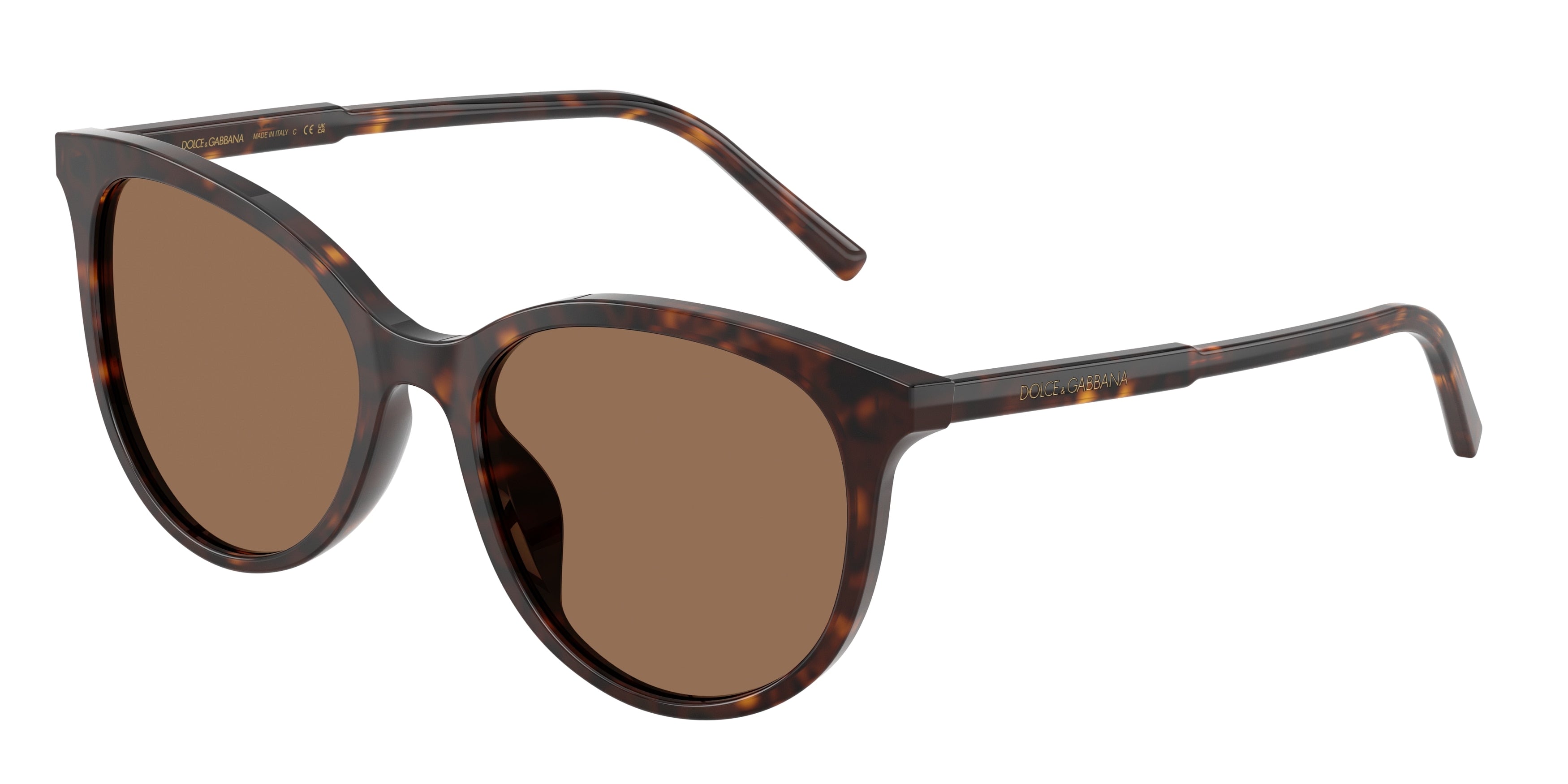 DOLCE & GABBANA DG4540 Phantos Sunglasses 502/13-Havana 55-145-18 - Color Map Tortoise
