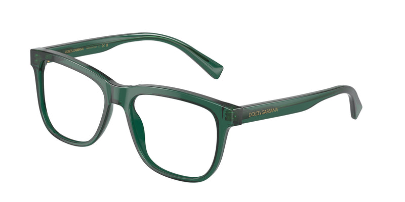 Dolce & Gabbana Kids DX3356 Rectangle Eyeglasses 3008-Transparent Green 51-130-15 - Color Map Green