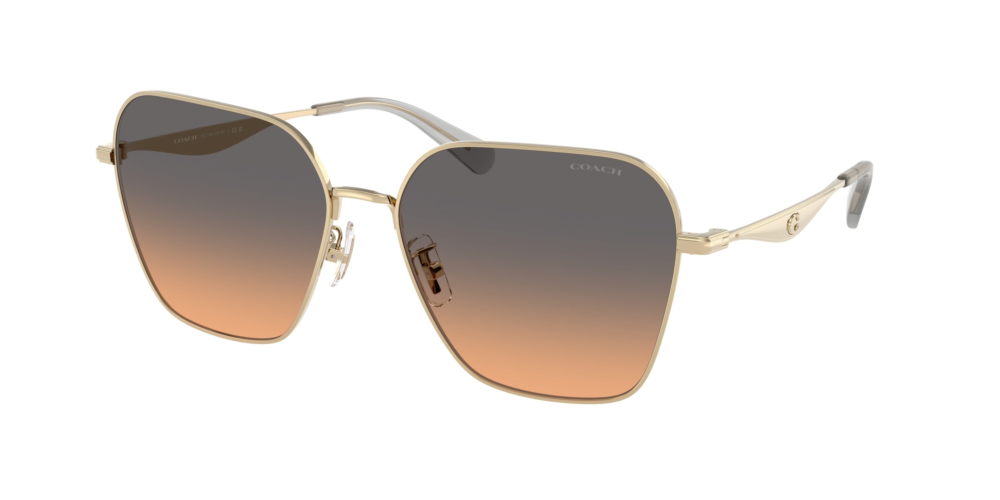 Coach CW189 HC7168 Irregular Sunglasses  900518-Shiny Light Gold 58-145-16 - Color Map Gold