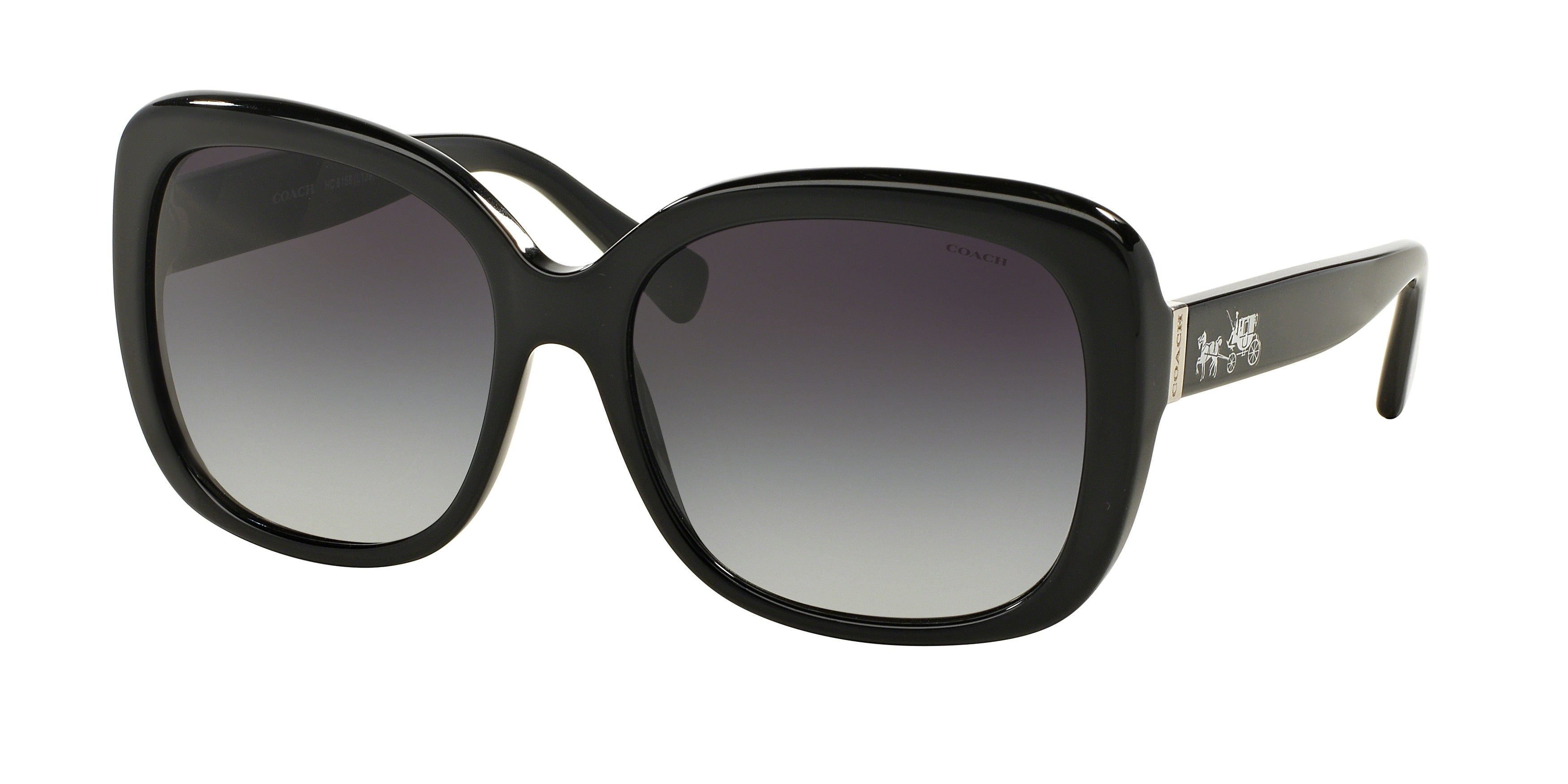 Coach L139 HC8158 Square Sunglasses  500211-Black 58-135-17 - Color Map Black