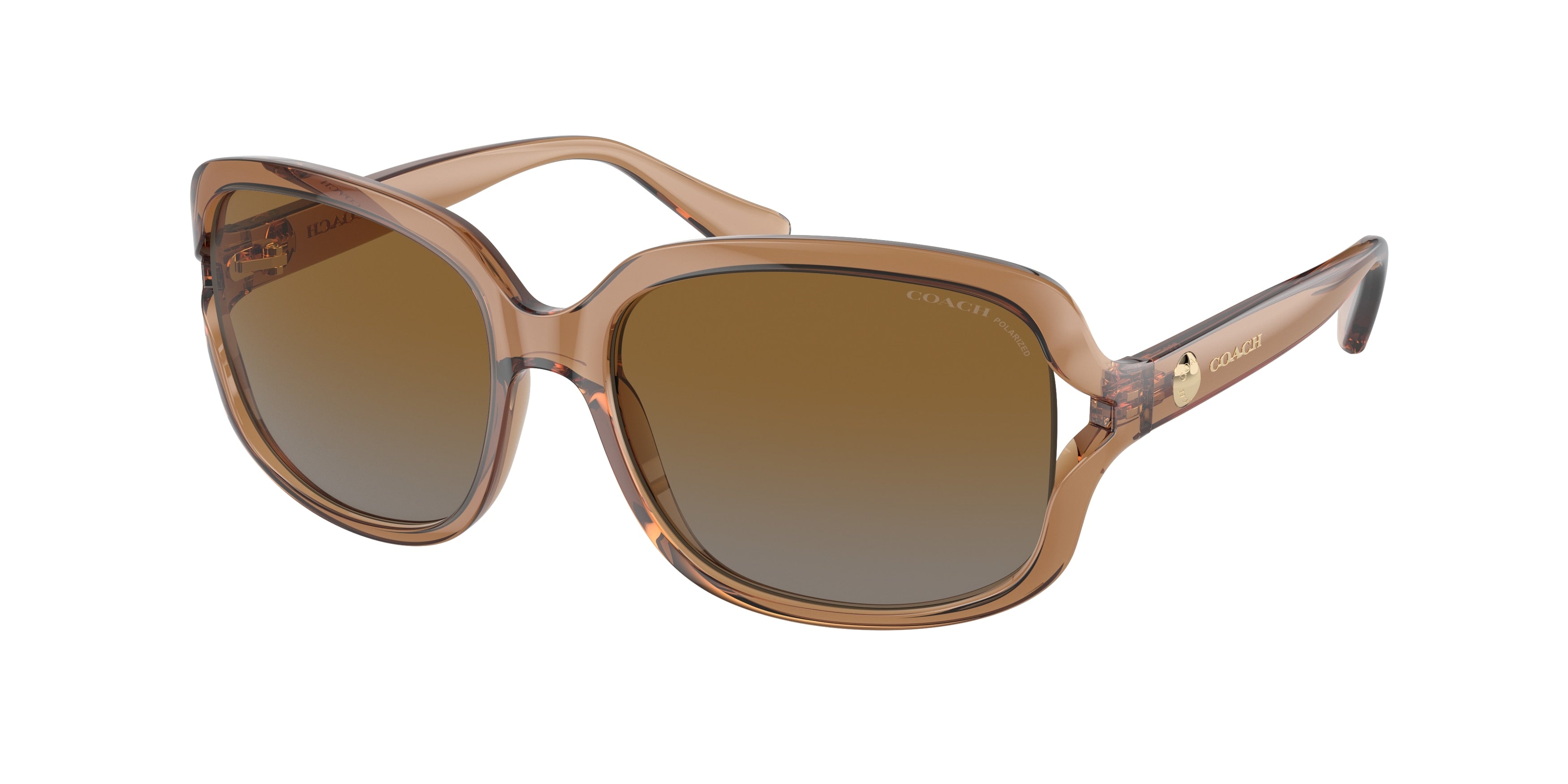 Coach L149 HC8169 Square Sunglasses  5561T5-Transparent Brown 57-135-16 - Color Map Brown