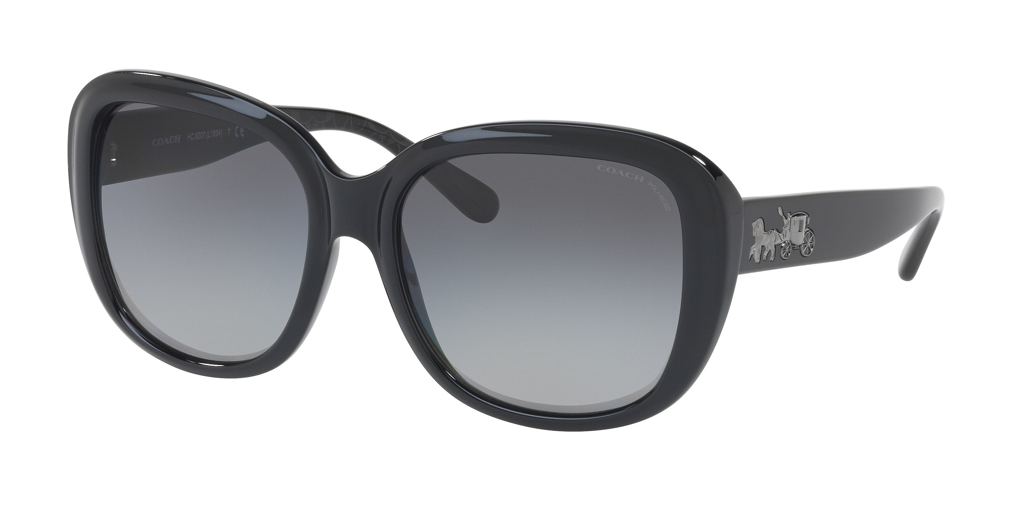 Coach L1634 HC8207 Square Sunglasses  5420T3-Black/Black Gunmetal Sig C 57-140-17 - Color Map Black