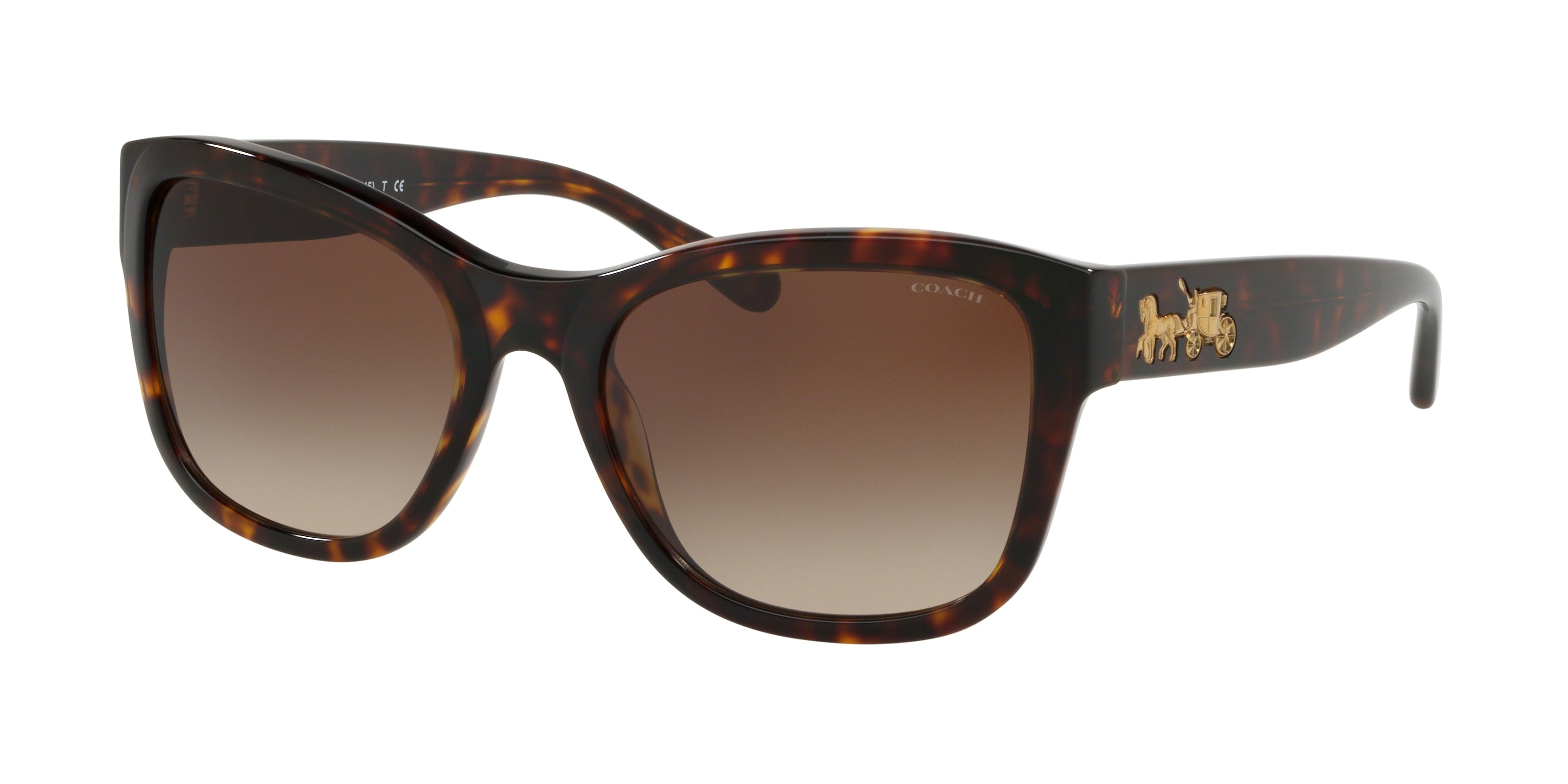 Coach L1045 HC8243 Square Sunglasses