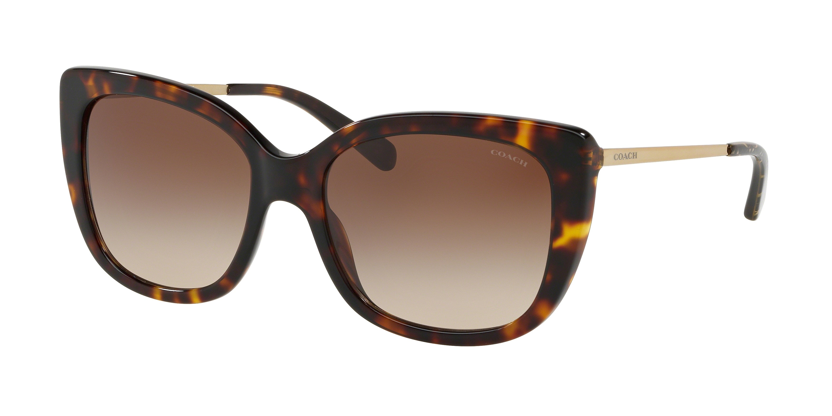 Coach L1040 HC8246 Square Sunglasses