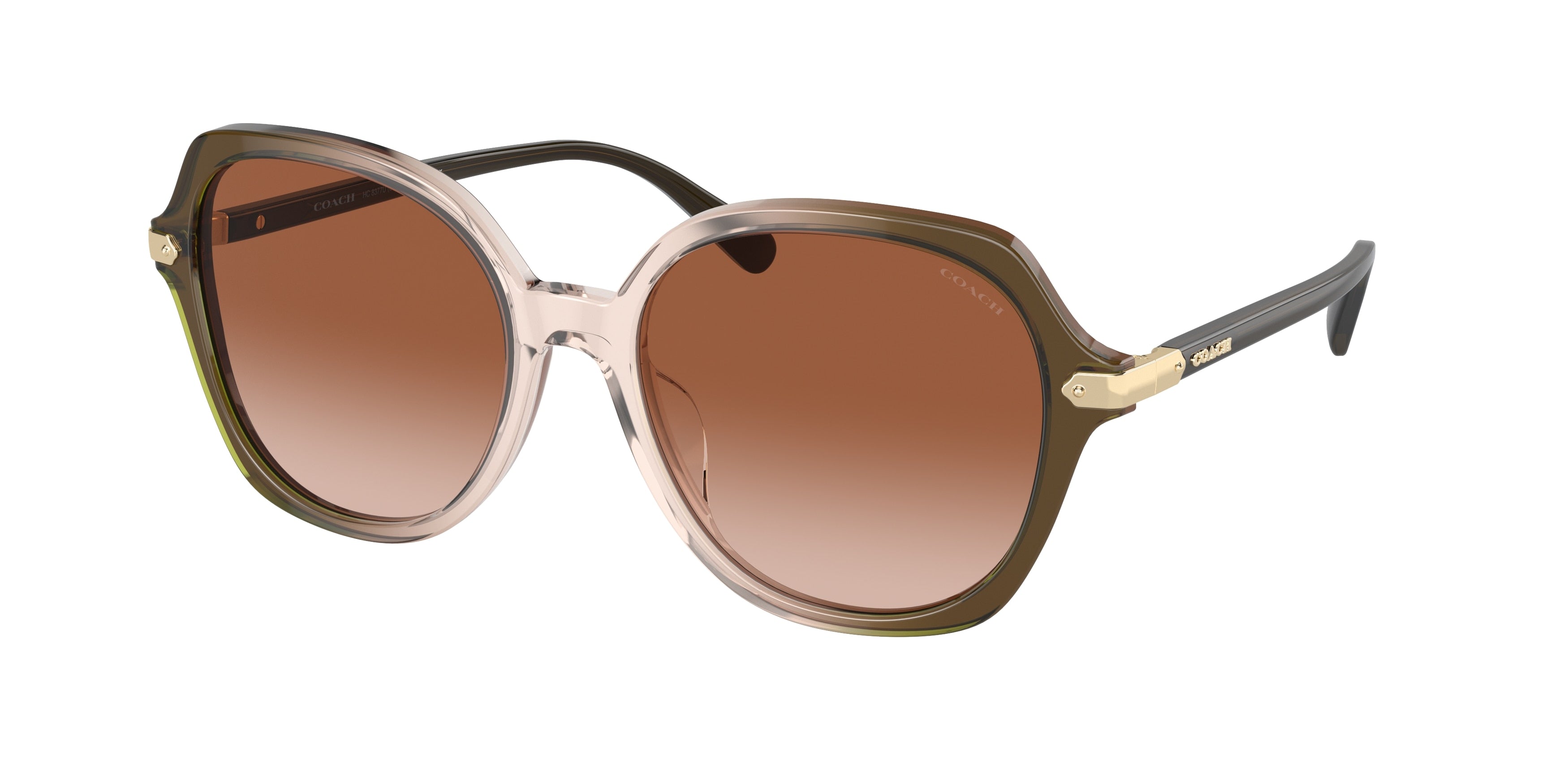 Coach CL925 HC8377U Round Sunglasses  540013-Olive Beige Gradient 55-145-18 - Color Map Multicolor