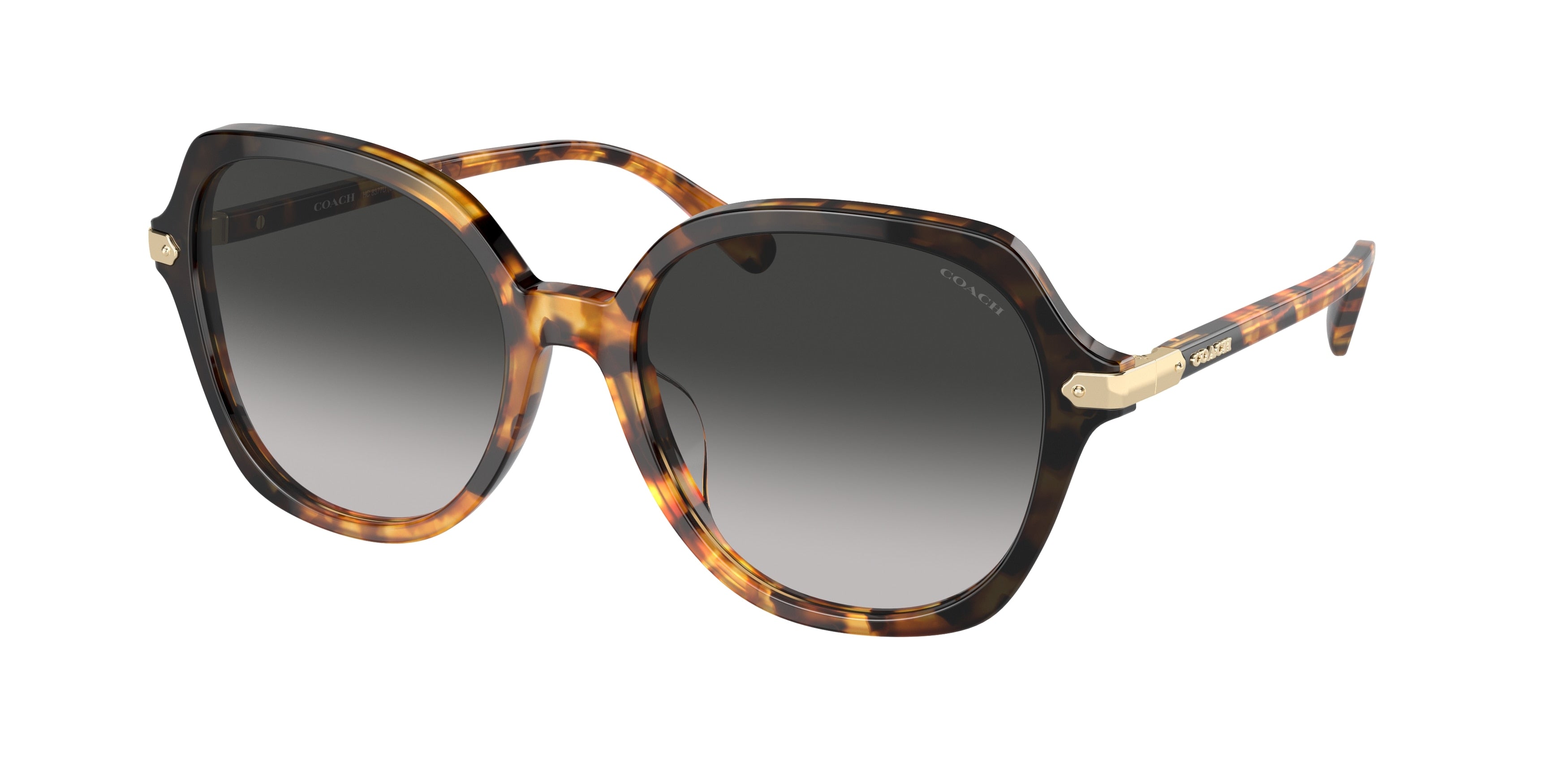 Coach CL925 HC8377U Round Sunglasses  577613-Honey Tortoise Black Gradient 55-145-18 - Color Map Tortoise