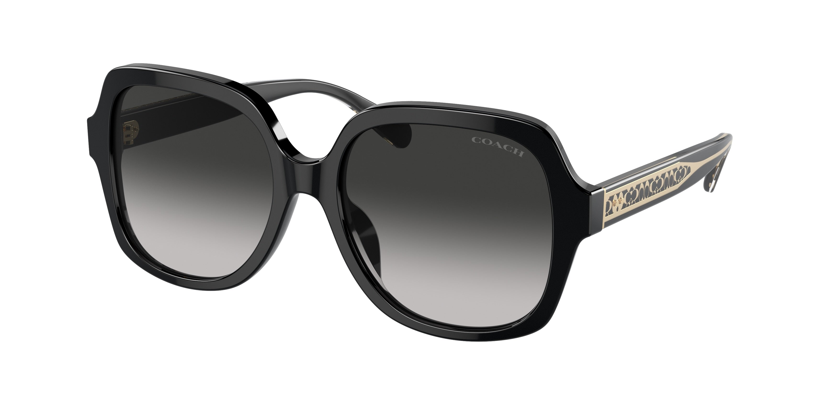 Coach CR614 HC8395U Square Sunglasses 50023C-Black 54-140-17 - Color Map Black