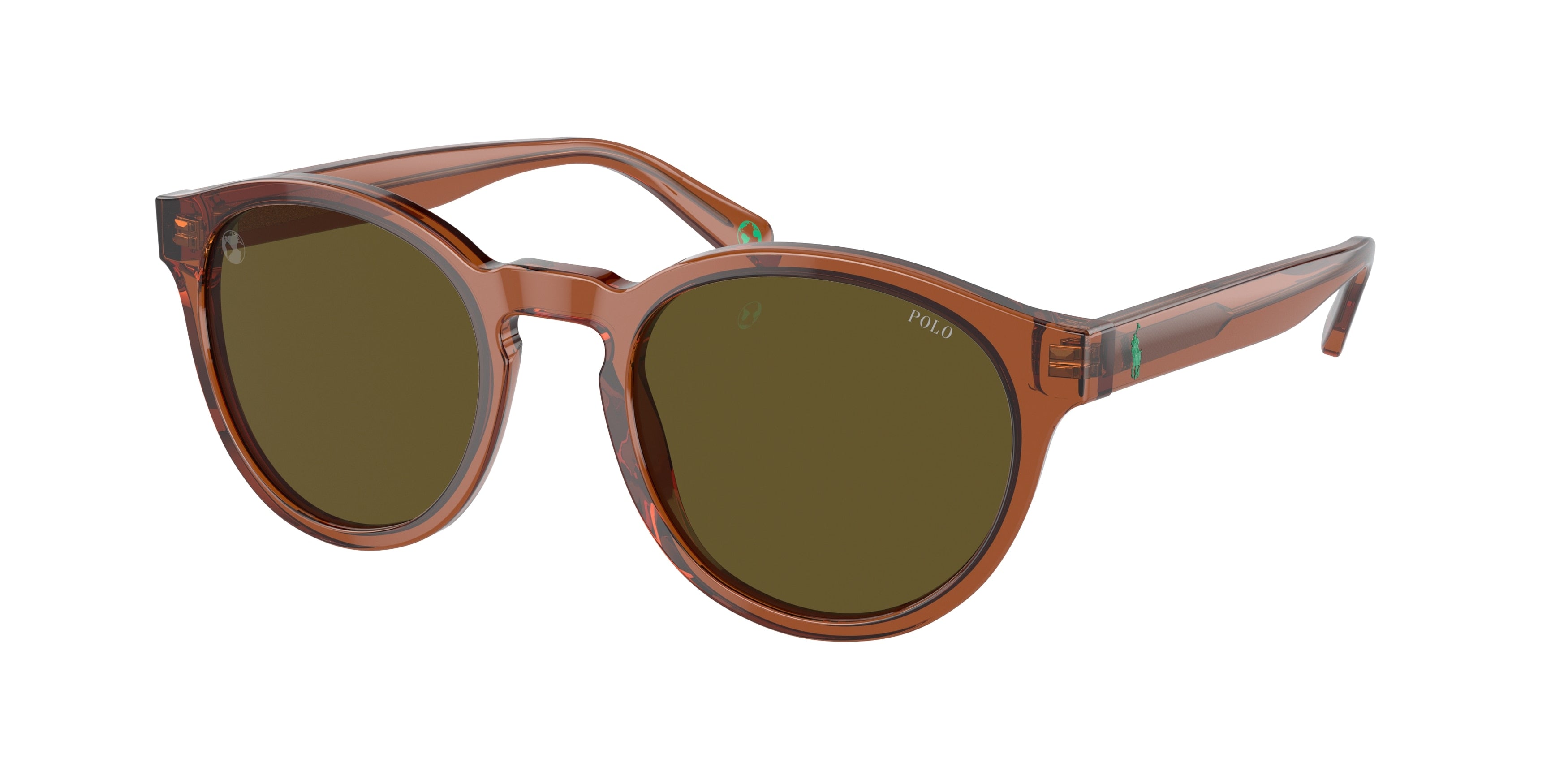 Polo PH4192F Round Sunglasses 608673-Shiny Transparent Brown 51-145-21 - Color Map Brown