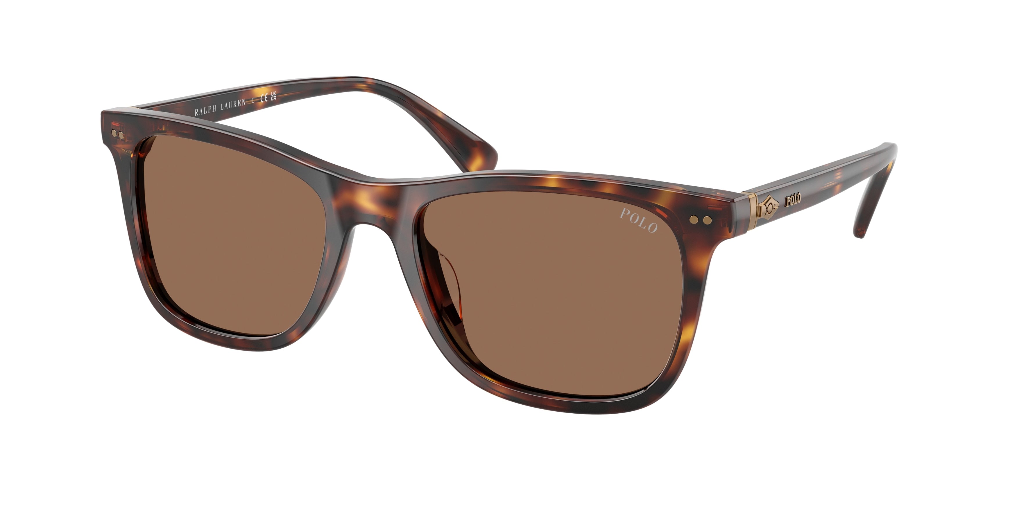 Polo PH4220U Square Sunglasses 613773-Shiny Brown Tortoise 55-145-19 - Color Map Tortoise