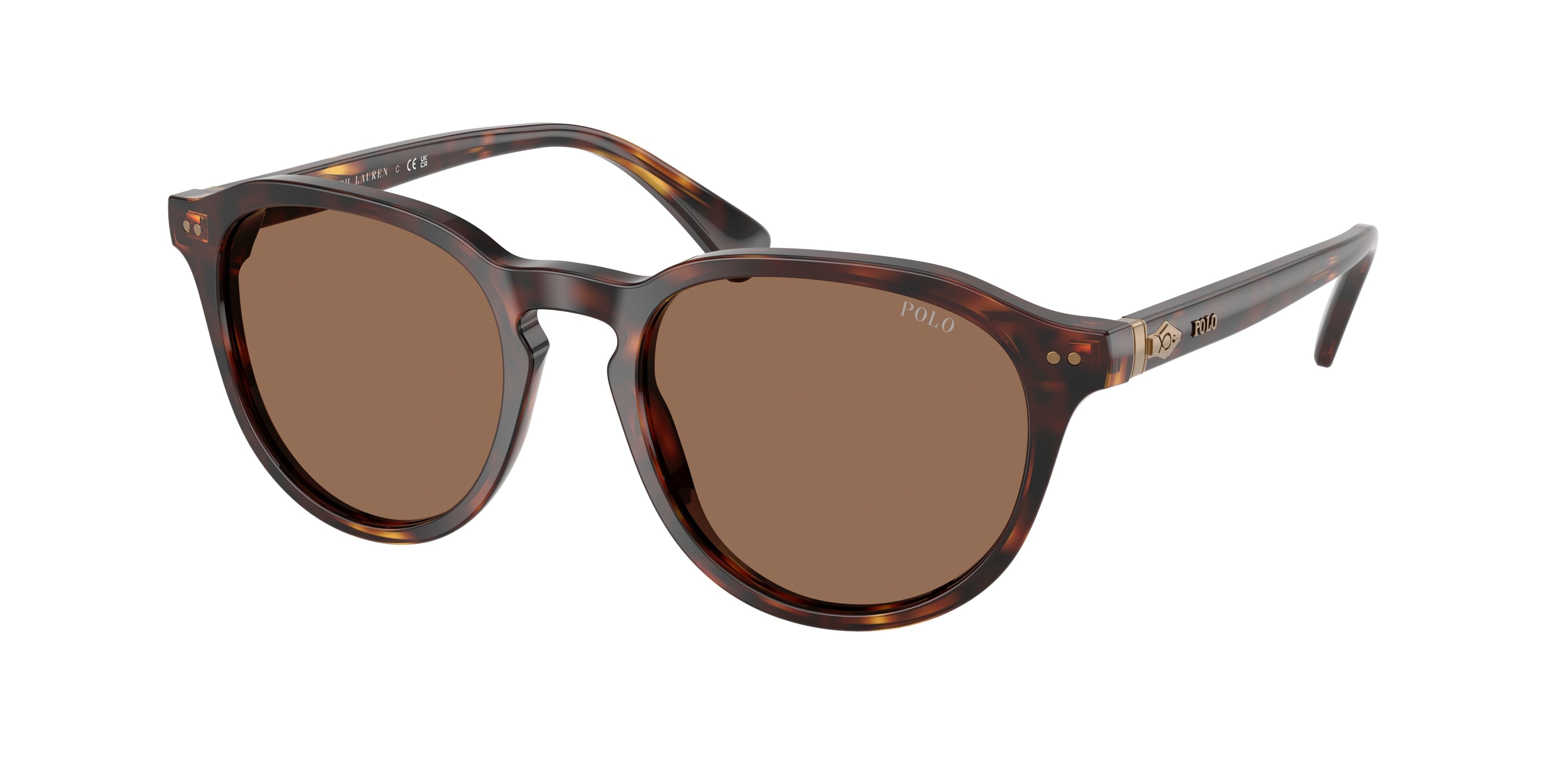 Polo PH4221F Phantos Sunglasses 613773-Shiny Brown Tortoise 52-145-19 - Color Map Tortoise