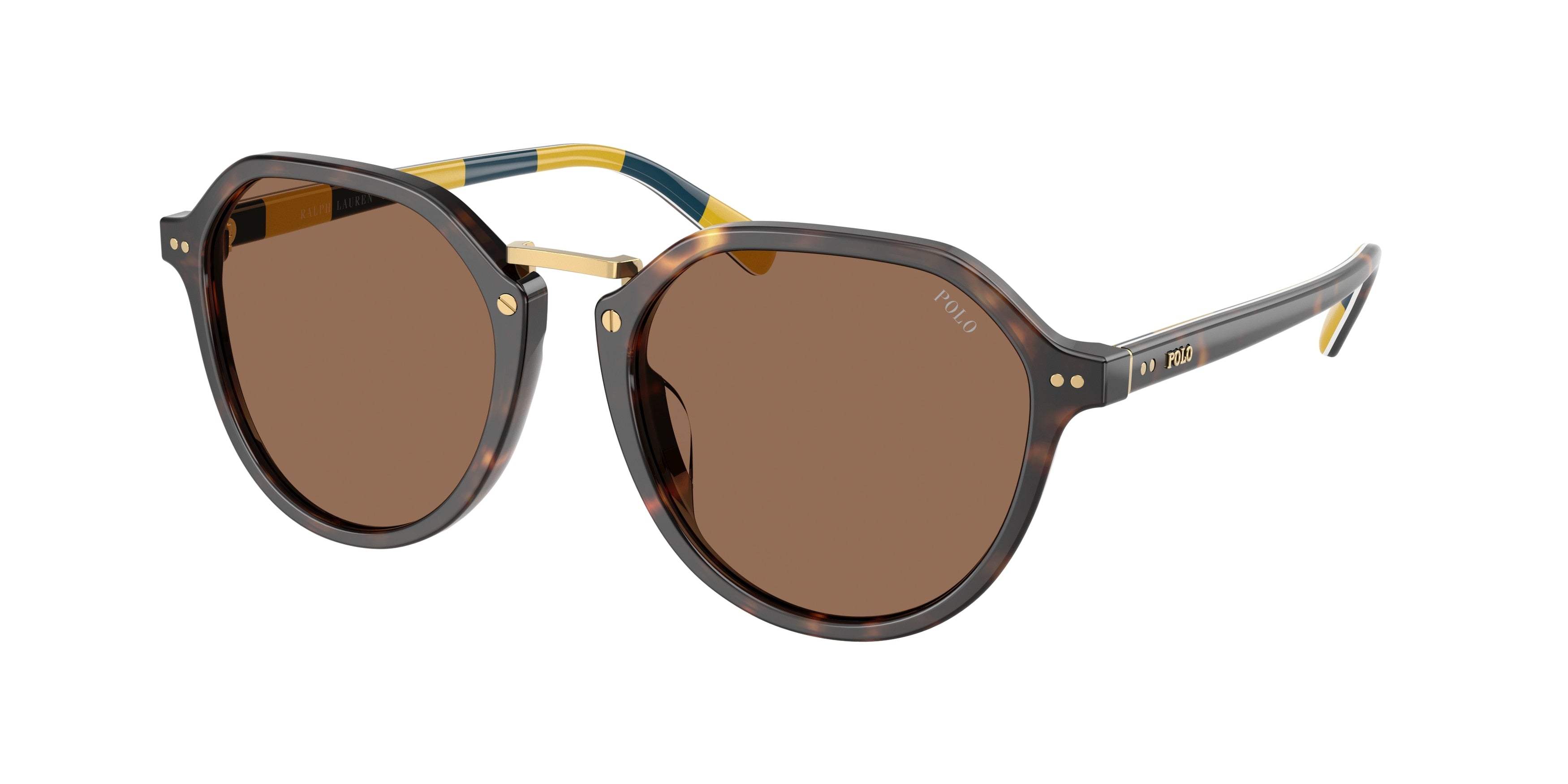 Polo PH4223U Phantos Sunglasses 500373-Shiny Dark Havana 53-145-19 - Color Map Tortoise