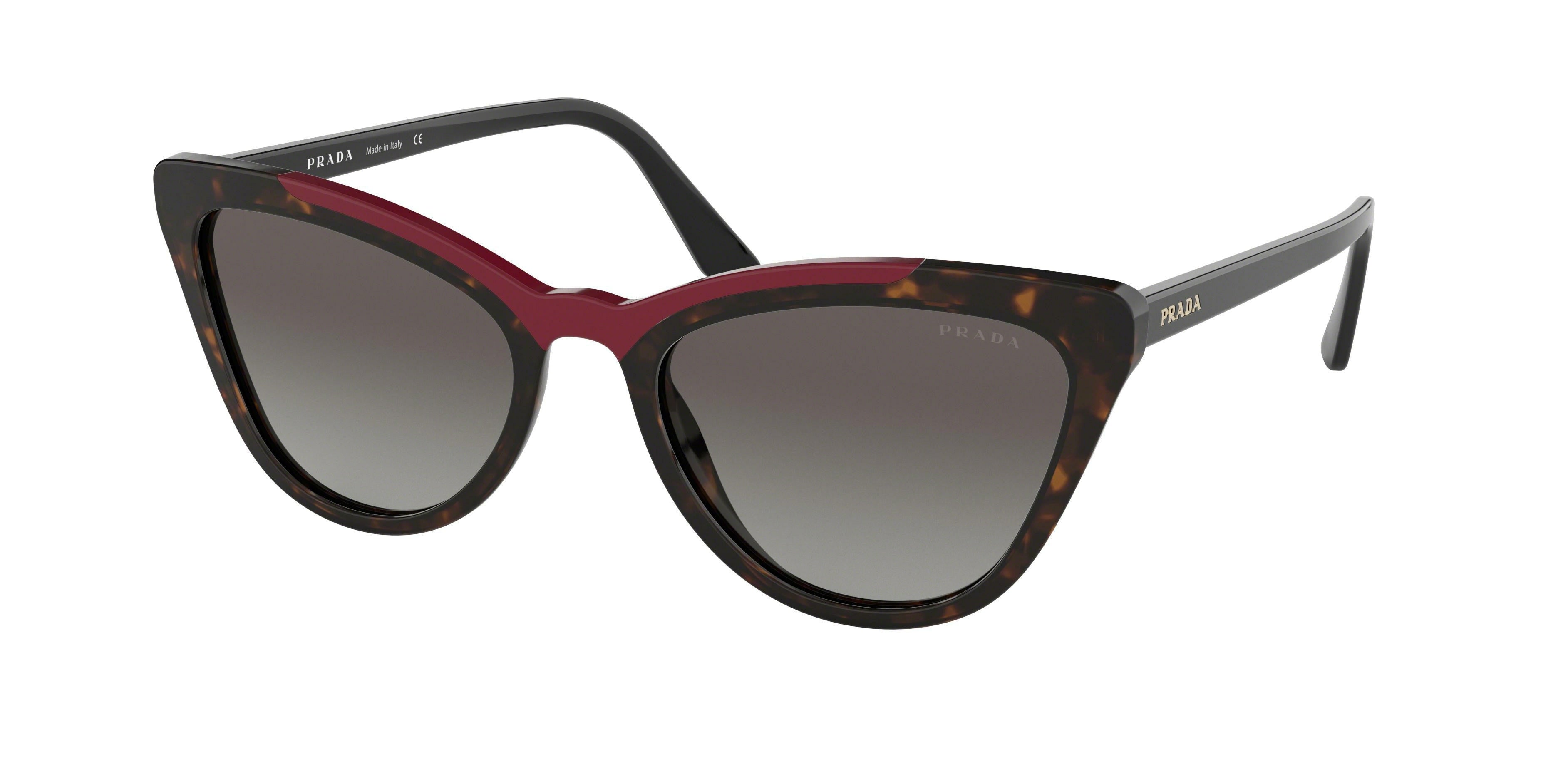Prada CATWALK PR01VS Cat Eye Sunglasses 3200A7-Havana/Red 56-145-20 - Color Map Red