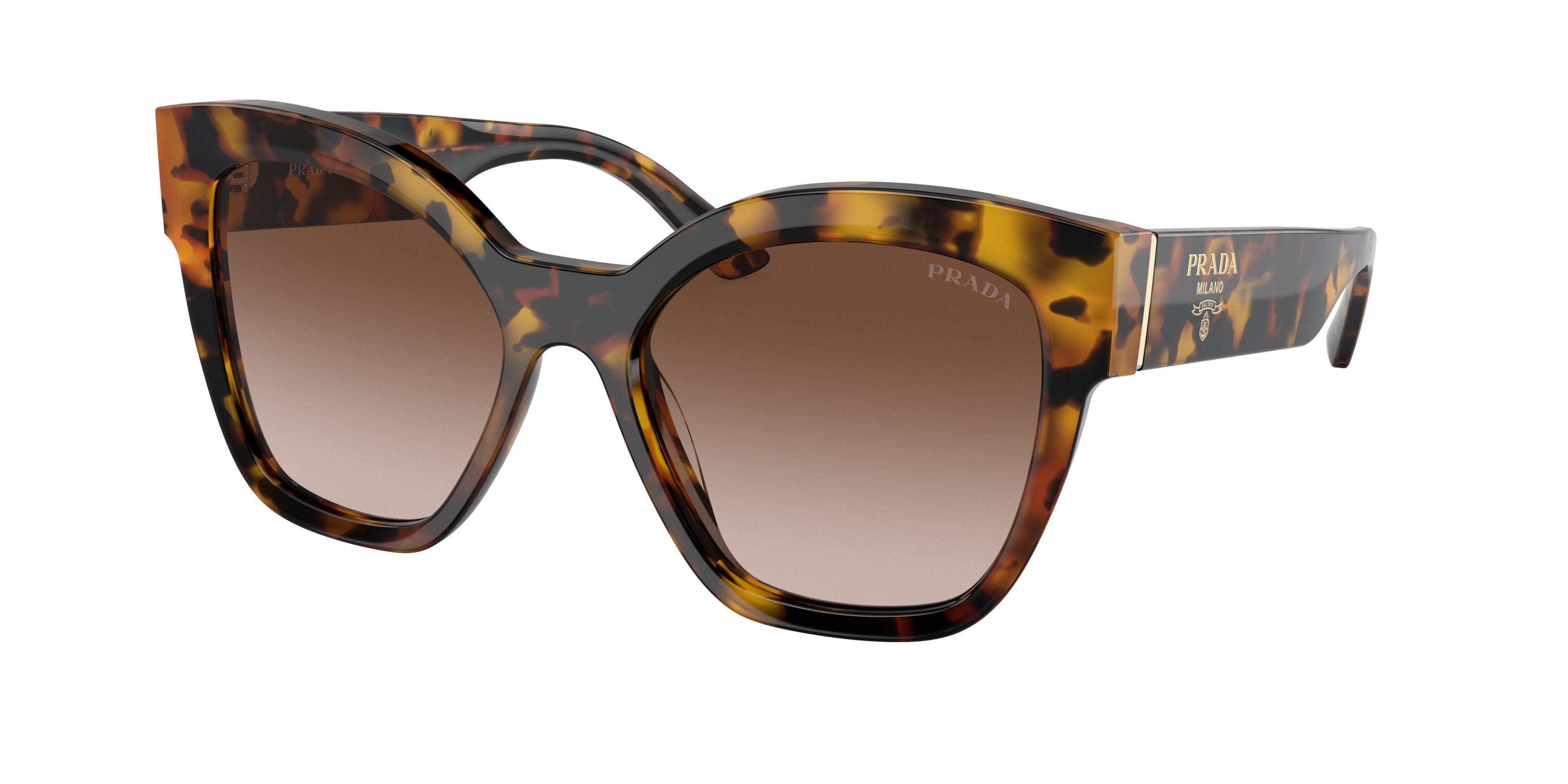 Prada PR17ZS Square Sunglasses VAU6S1-Honey Tortoise 54-140-18 - Color Map Tortoise