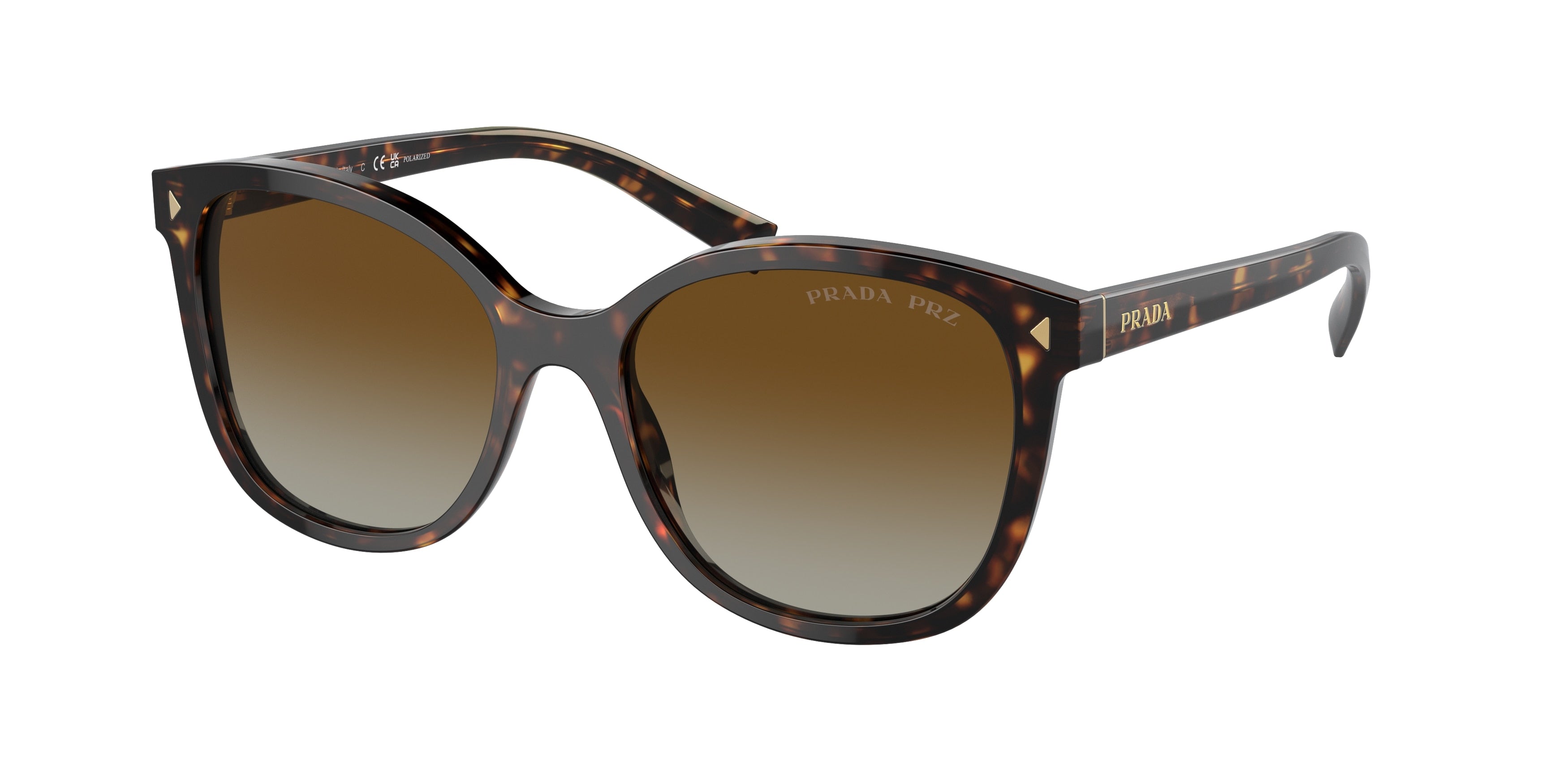 Prada PR22ZSF Square Sunglasses 2AU6E1-Tortoise 55-145-16 - Color Map Tortoise