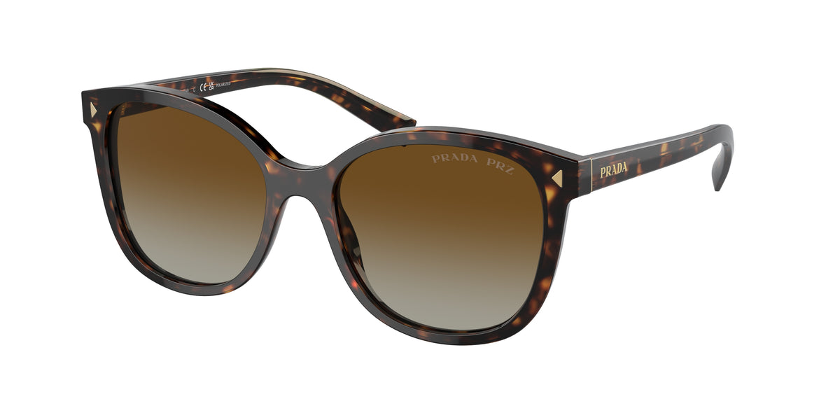 Prada PR22ZSF Square Sunglasses for Women — Free Shipping - 55-145-16 / 2AU6E1-Tortoise - Polarized