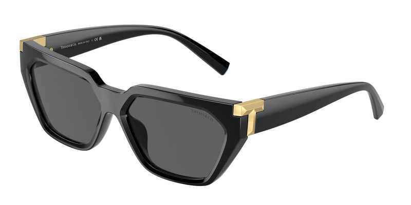 Tiffany TF4205U Irregular Sunglasses 8001S4-Black 56-140-14 - Color Map Black