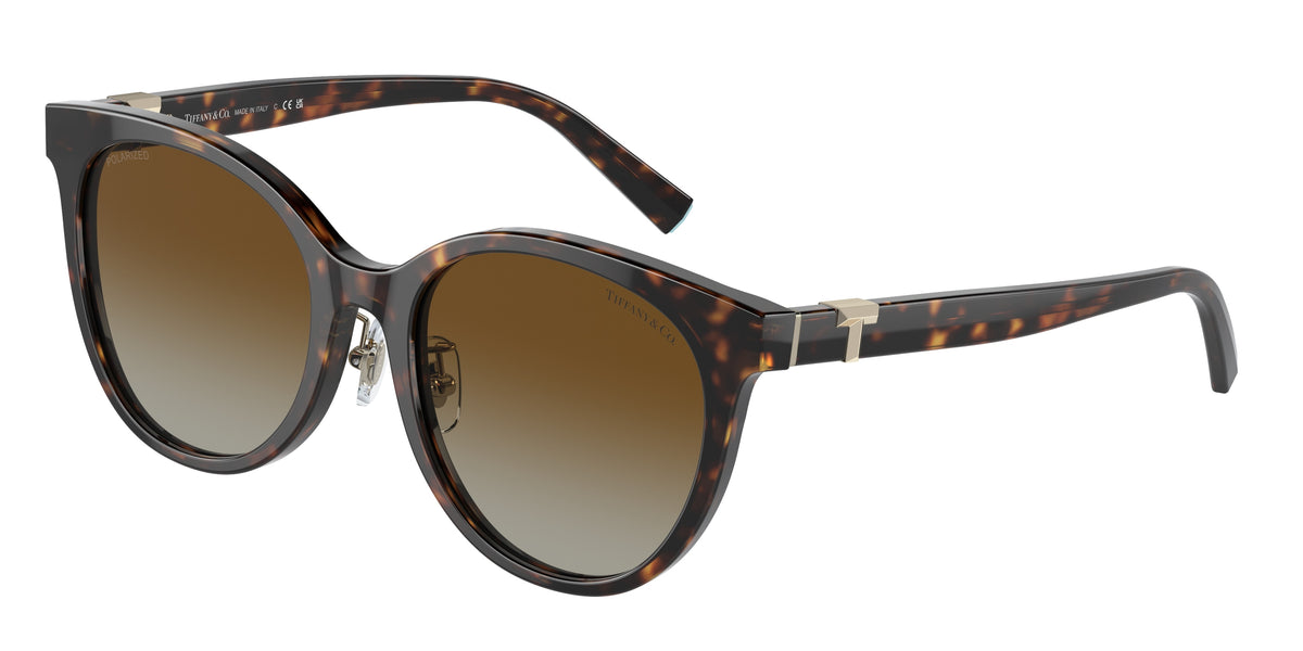 Tiffany TF4209D Phantos Sunglasses 8015T5-Havana 54-140-19 - Color Map Tortoise