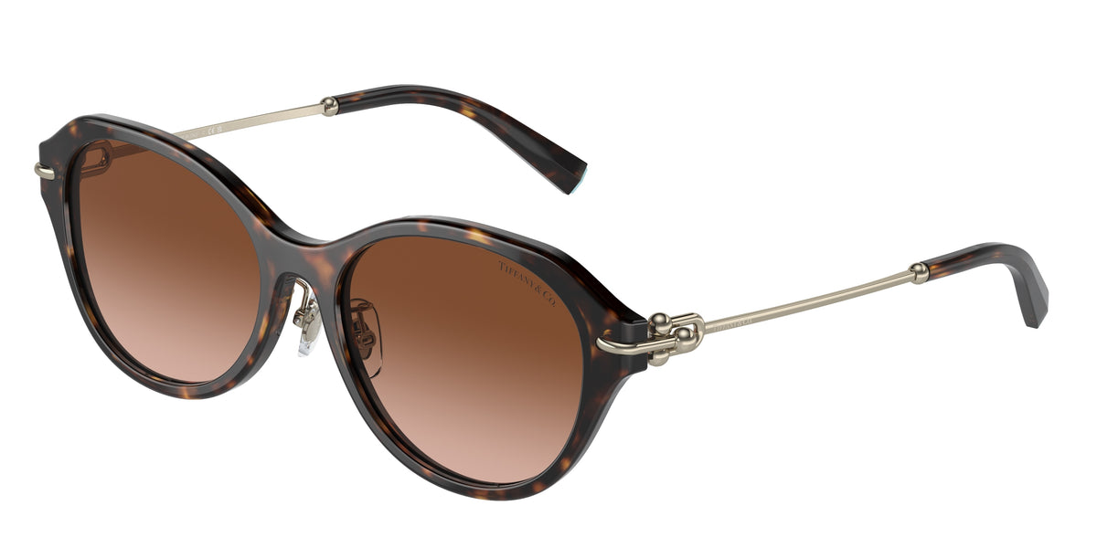 Tiffany TF4210D Oval Sunglasses 80153B-Havana 54-140-17 - Color Map Tortoise
