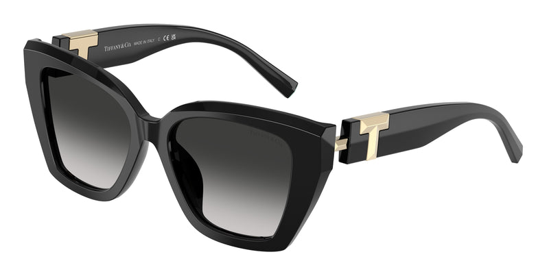 Tiffany TF4239U Square Sunglasses 80013C-Black 52-140-17 - Color Map Black