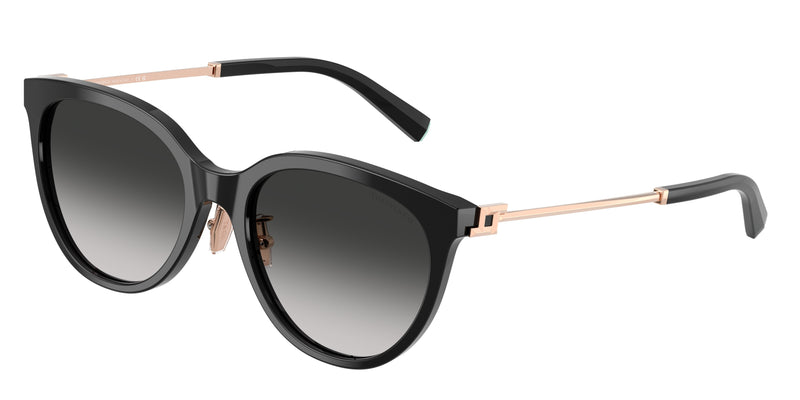 Tiffany TF4243D Round Sunglasses 80013C-Black 55-145-19 - Color Map Black