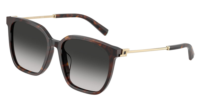 Tiffany TF4244D Square Sunglasses 80153C-Havana 56-145-17 - Color Map Tortoise