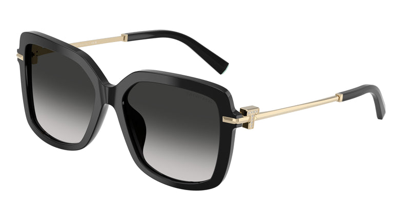 Tiffany TF4252B Square Sunglasses 80013C-Black 55-140-16 - Color Map Black