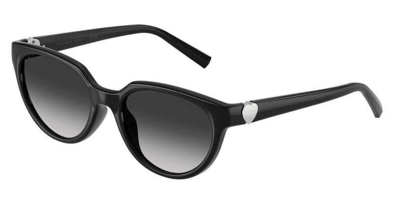 Tiffany TF4256D Cat Eye Sunglasses 80013C-Black 55-140-19 - Color Map Black