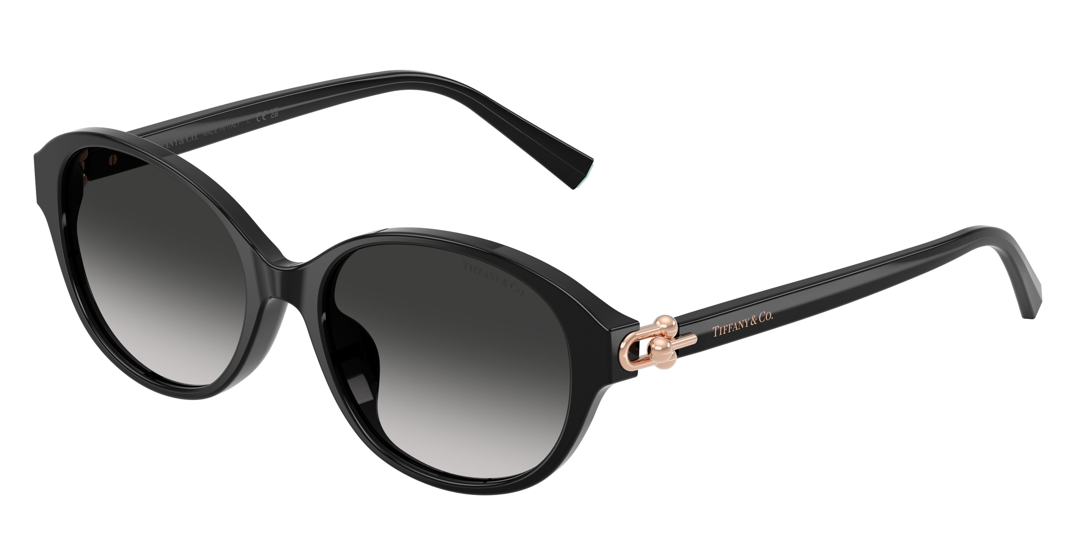 Tiffany TF4263D Round Sunglasses 80013C-Black 54-140-17 - Color Map Black