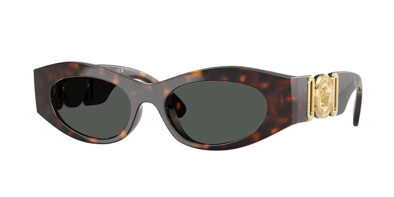 Versace VE4480U Cat Eye Sunglasses 108/87-Havana 51-140-18 - Color Map Tortoise