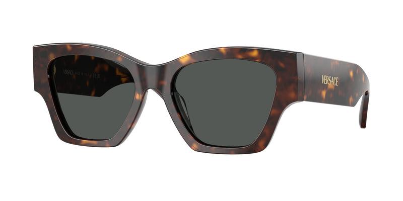 Versace VE4492U Square Sunglasses 108/87-Dark Havana 53-140-18 - Color Map Brown