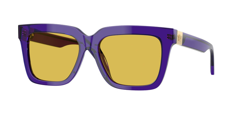 Versace VE4498F Square Sunglasses 554585-Transparent Dark Violet 55-145-16 - Color Map Violet