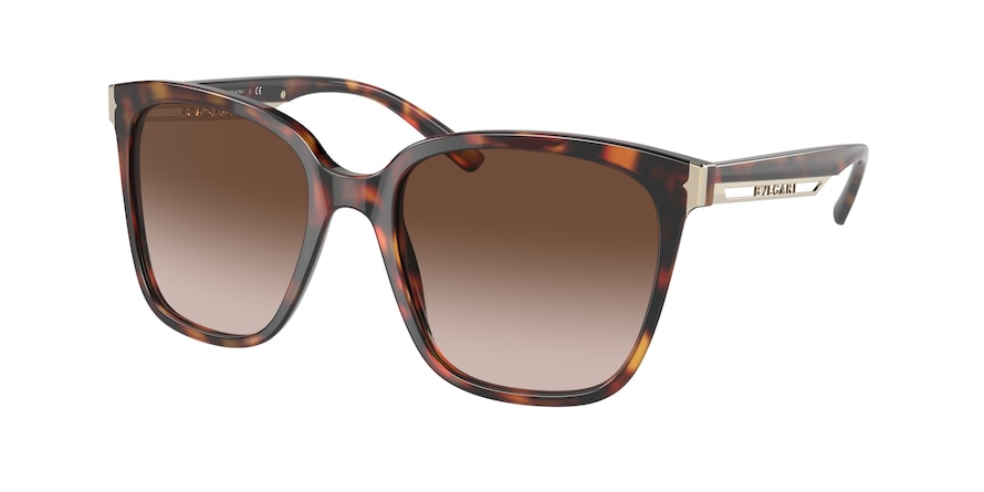 Bvlgari BV8245 Square Sunglasses  551513-HAVANA 55-19-145 - Color Map havana