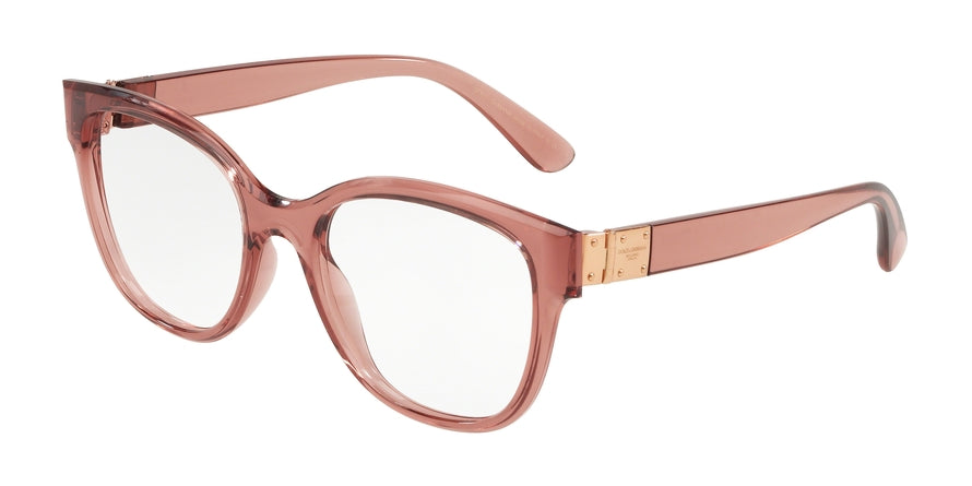 DOLCE & GABBANA DG5040 Butterfly Eyeglasses 3148-TRANSPARENT PINK 54-18-140 - Color Map pink