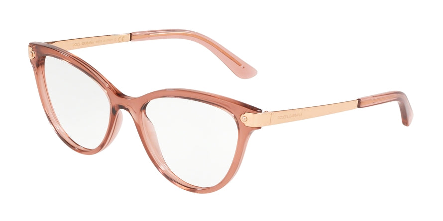 DOLCE & GABBANA DG5042 Cat Eye Eyeglasses 3148-TRANSPARENT PINK 52-17-140 - Color Map pink