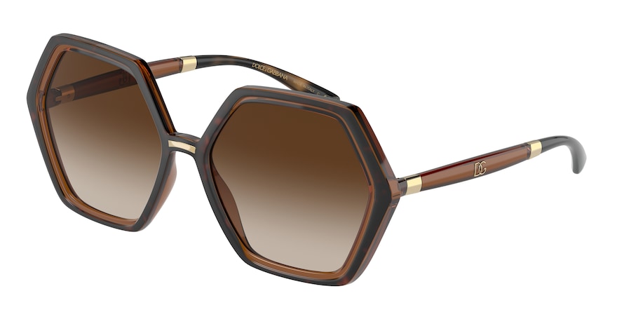 DOLCE & GABBANA DG6167 Irregular Sunglasses  318513-HAVANA/TRANSPARENT BROWN 57-16-145 - Color Map havana