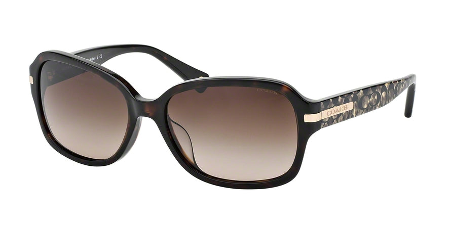 Coach L546 AMBER HC8105F Rectangle Sunglasses  522713-DK TORTOISE/BEIGE OCELOT SIG C 58-16-135 - Color Map havana