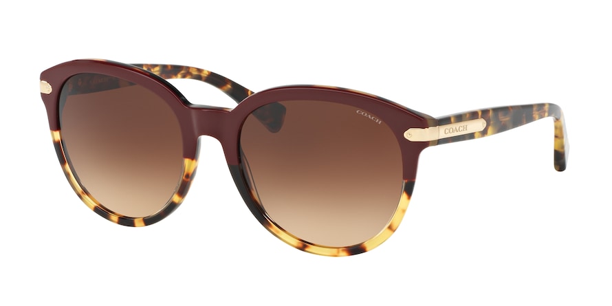 Coach L111 HC8140 Phantos Sunglasses  543713-BURGUNDY TORTOISE/TORTOISE 55-18-135 - Color Map havana