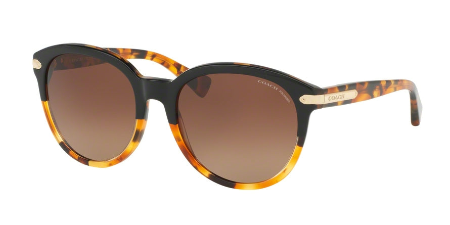 Coach L111 HC8140 Phantos Sunglasses  5438T5-BLACK TORTOISE/TORTOISE 55-18-135 - Color Map havana