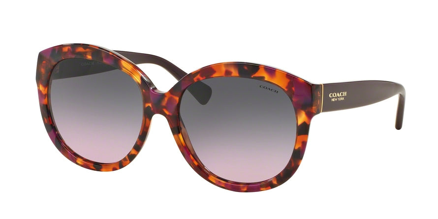 Coach HC8159F Round Sunglasses  533990-PURPLE CONFETTI/PURPLE 55-16-135 - Color Map violet
