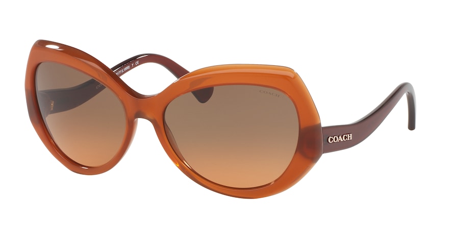 Coach L1588 HC8177 Irregular Sunglasses  540295-AMBER/DARK BROWN 59-17-140 - Color Map light brown