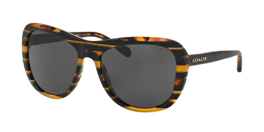 Coach L1629 HC8202 Square Sunglasses  544087-BLK AMBER GLTR VARSITY STRIPE 57-17-140 - Color Map multi