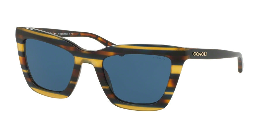 Coach HC8203F Square Sunglasses  544180-BLUE HONEY GLTR VARSITY STRIPE 54-22-140 - Color Map multi