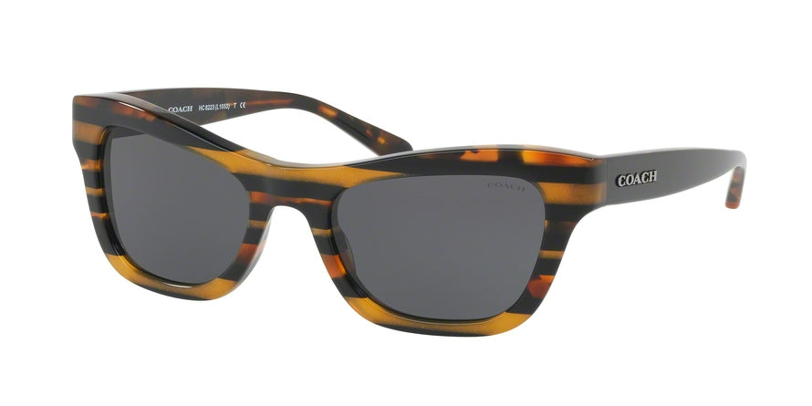 Coach L1653 HC8223 Cat Eye Sunglasses  544087-BLK AMBER GLTR VARSITY STRIPE 53-20-135 - Color Map multi
