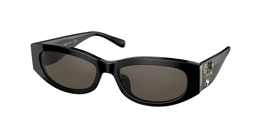 Coach L1163 HC8302BU Irregular Sunglasses  50023-SOLID BLACK 55-17-140 - Color Map black